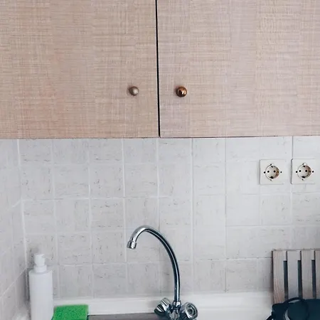 Apartment Ta Spitakia Olympiada